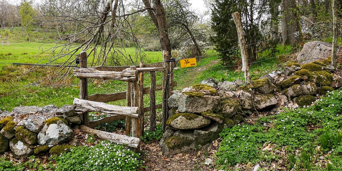 IMG_20210515_125321-4