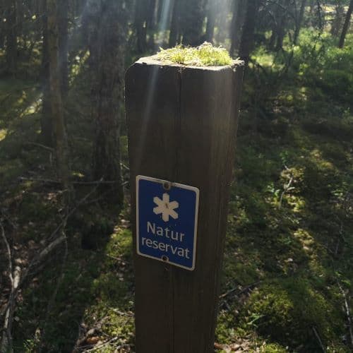 1-IMG_20200613_152720