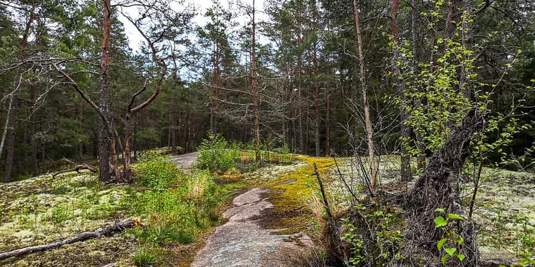 IMG_20210515_172800-3