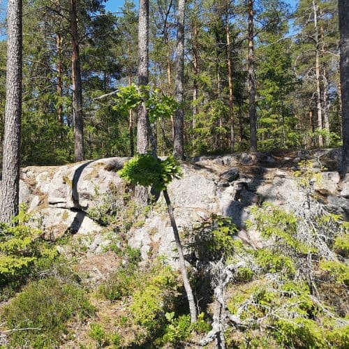 1-IMG_20200613_145110