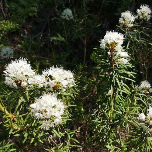 1-IMG_20200613_142843