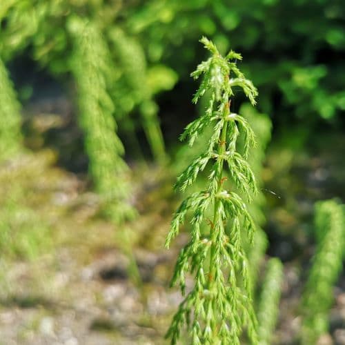 1-IMG_20200613_142119