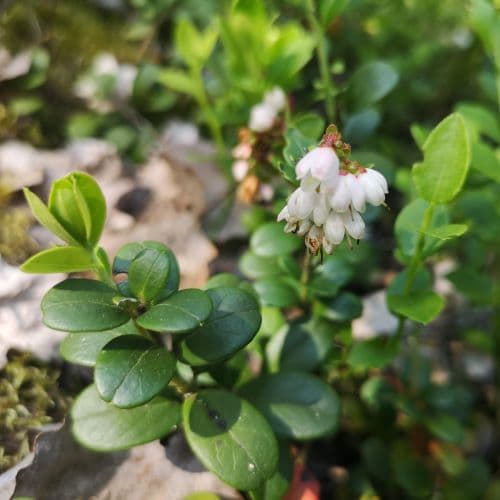 1-IMG_20200613_140514