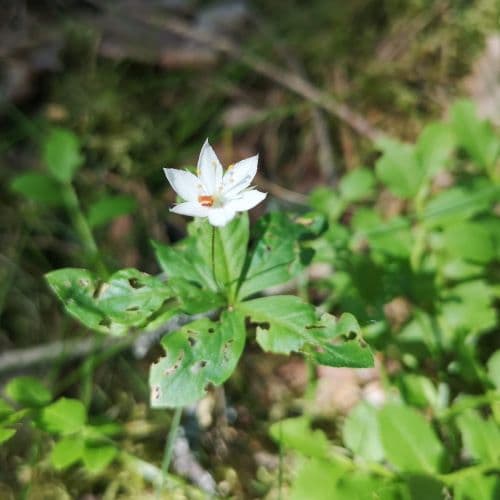 1-IMG_20200613_134811