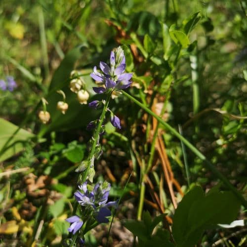 1-IMG_20200613_133602