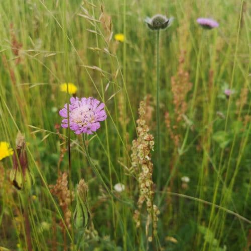 1-IMG_20200622_130710