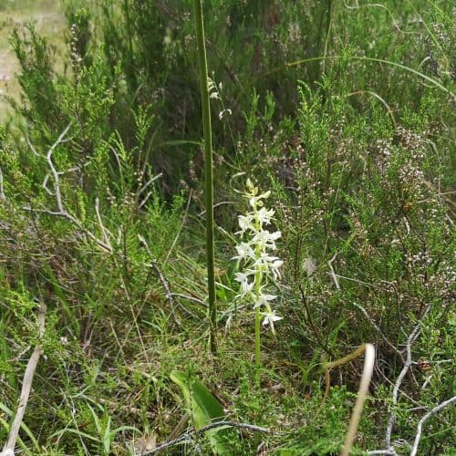 1-IMG_20200622_120813