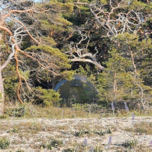 1-IMG_20200624_195252