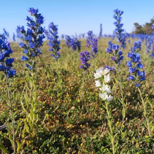 1-IMG_20200624_170842