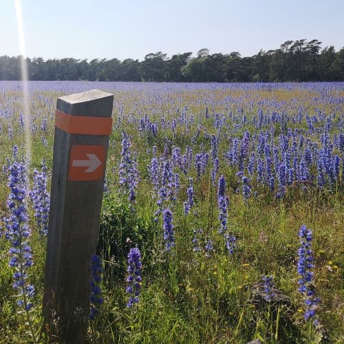 1-IMG_20200624_164500