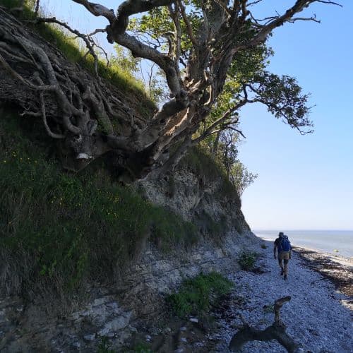 1-IMG_20200624_152249