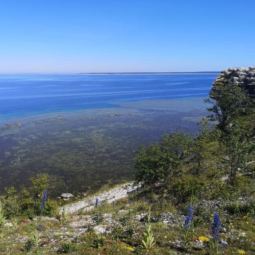 1-IMG_20200624_144648