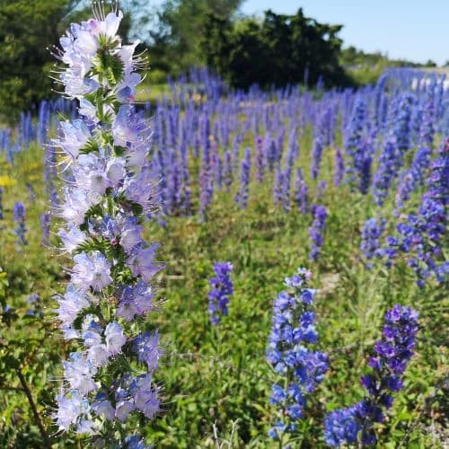 1-IMG_20200624_144355