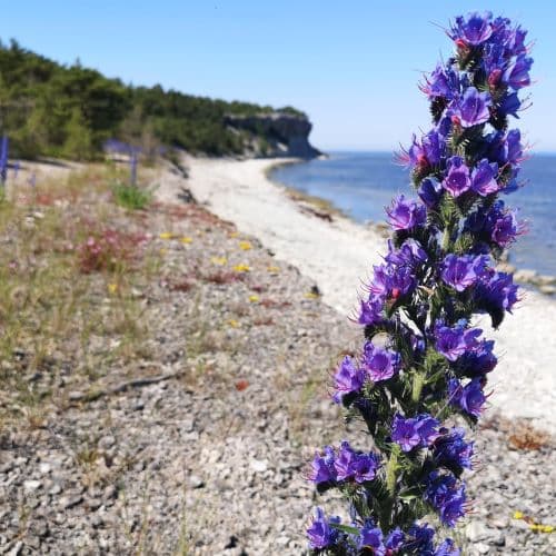 1-IMG_20200624_143108