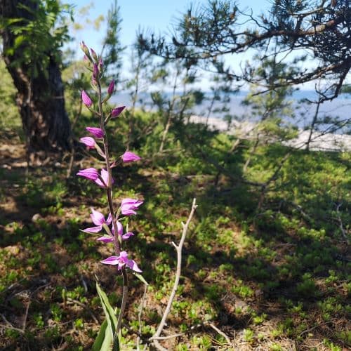 1-IMG_20200624_142208