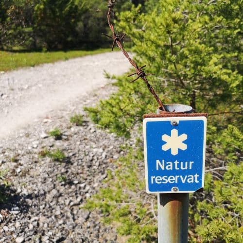 1-IMG_20200624_141114