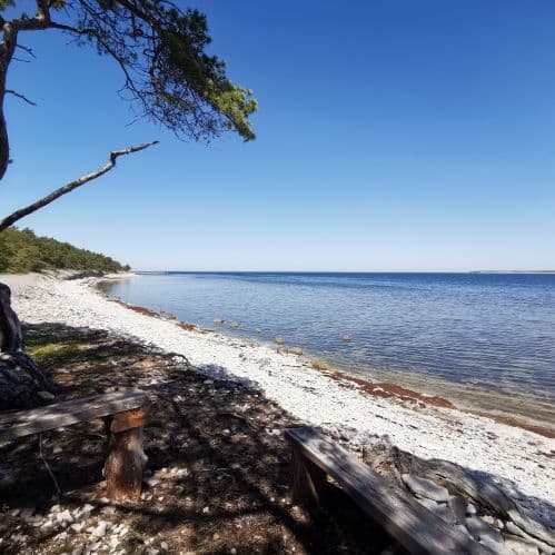 1-IMG_20200624_132454