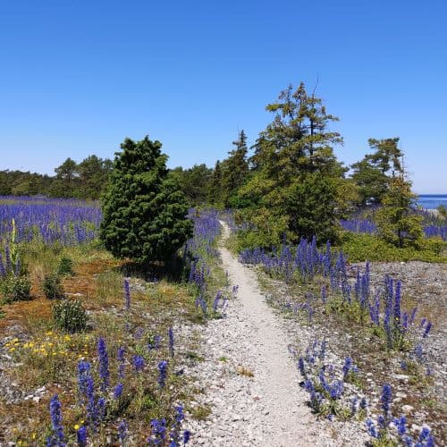 1-IMG_20200624_130328