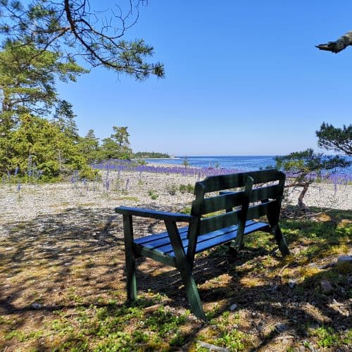 1-IMG_20200624_130203