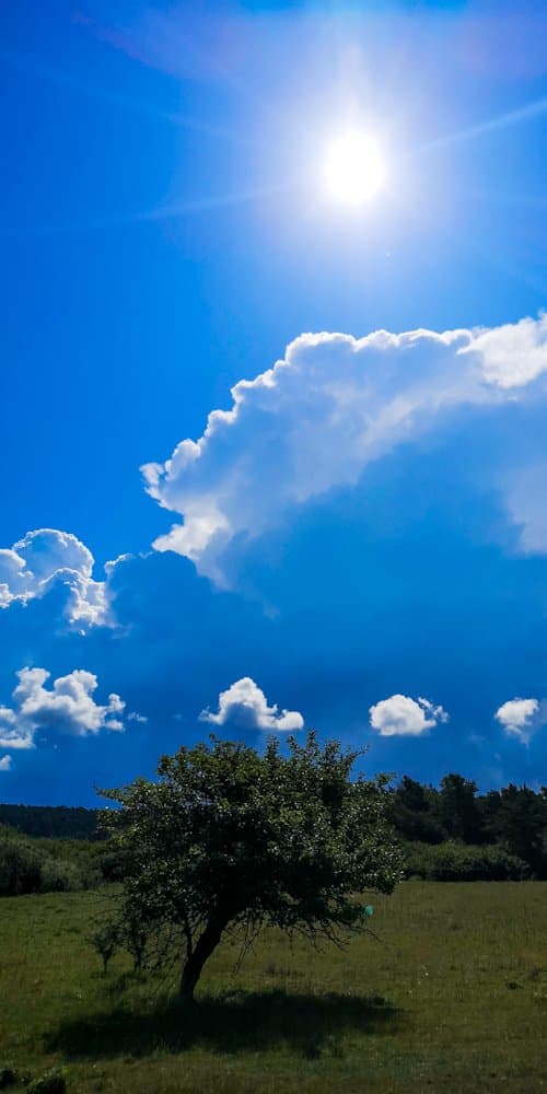 img_20210628_100212 (1)1130043745725862980..jpg