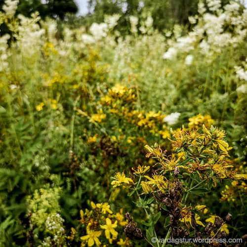 img_20210703_162910-2