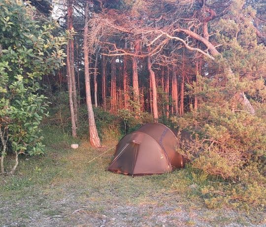 1-IMG_20200625_214021