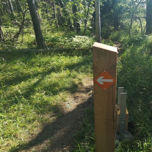 1-IMG_20200625_170722