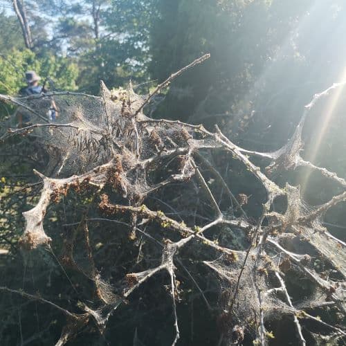 1-IMG_20200625_165642