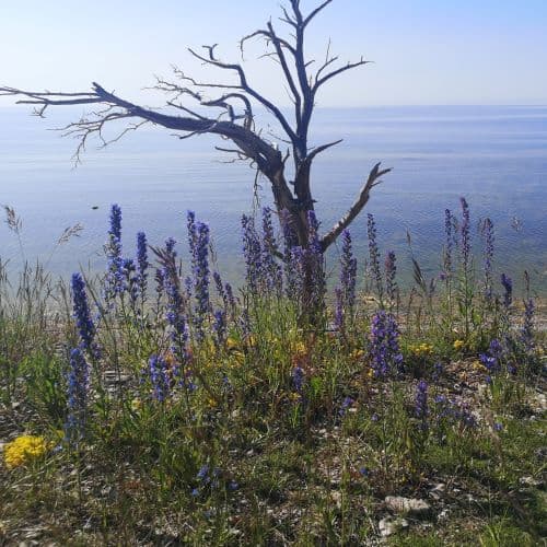 1-IMG_20200625_161745