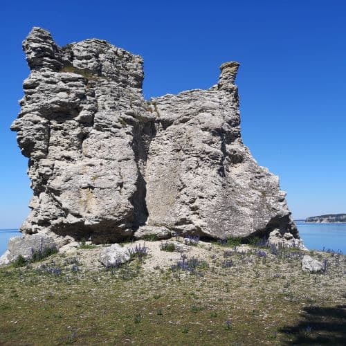 1-IMG_20200625_151748