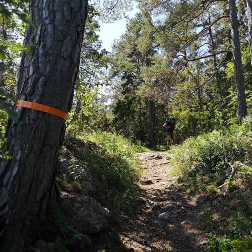 1-IMG_20200625_124115