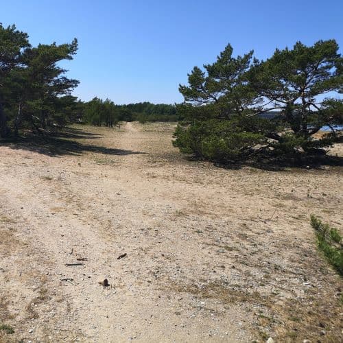 1-IMG_20200625_114043