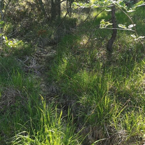 1-IMG_20200625_094521