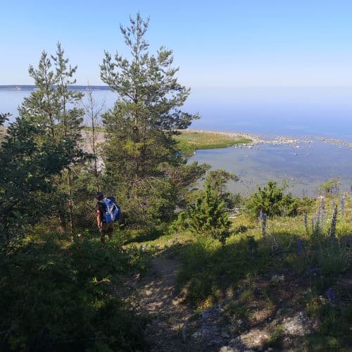 1-IMG_20200625_094145