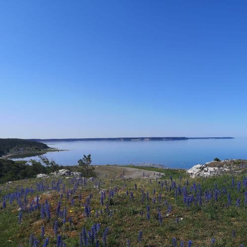 1-IMG_20200625_093708