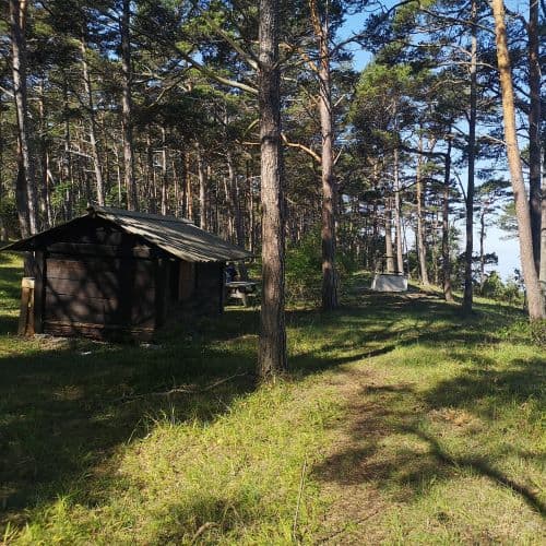 1-IMG_20200625_090728