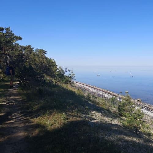 1-IMG_20200625_085408