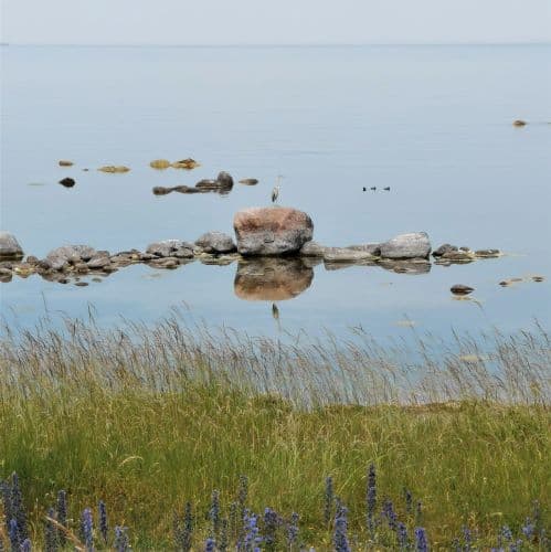 1-IMG_20200626_125343