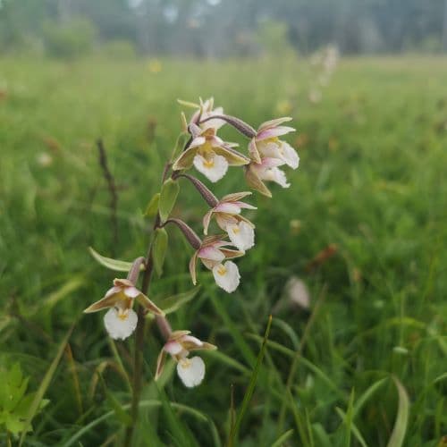 1-IMG_20200626_123156