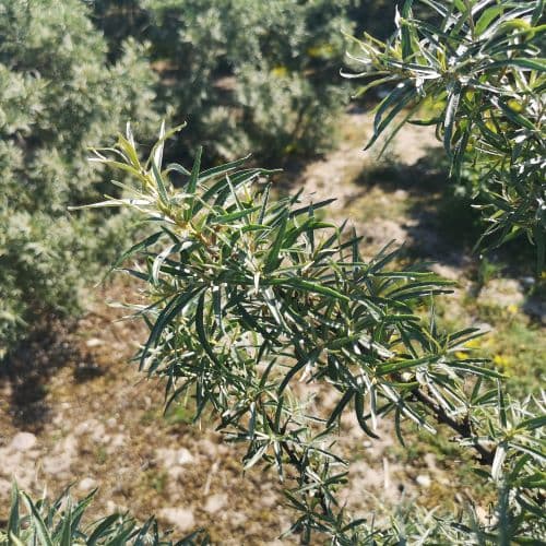 1-IMG_20200626_101534