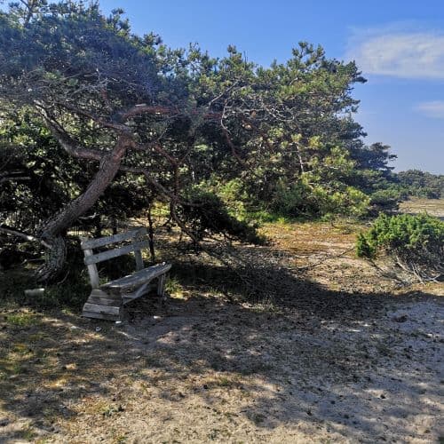 1-IMG_20200626_101412