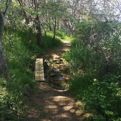 1-IMG_20200626_095945