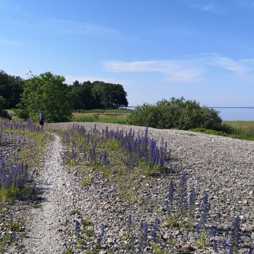 1-IMG_20200626_093051