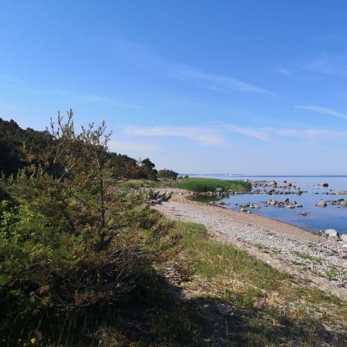 1-IMG_20200626_091002