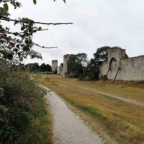 1-IMG_20200704_115828