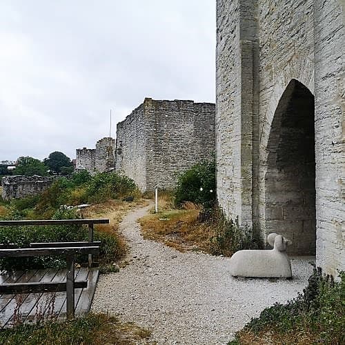 1-IMG_20200704_095500