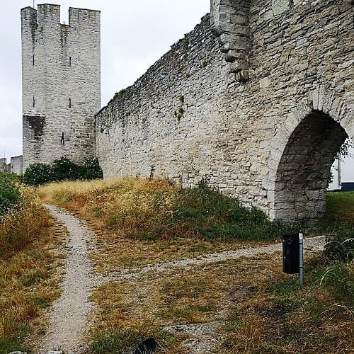 1-IMG_20200704_095317