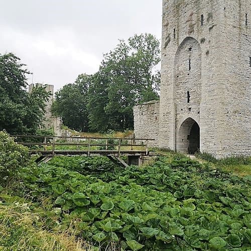 1-IMG_20200704_094449