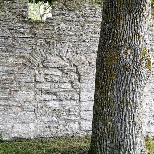 1-IMG_20200704_123222