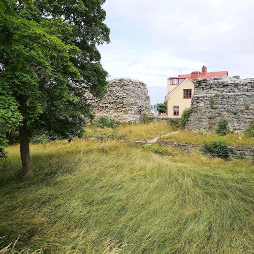 1-IMG_20200704_121330